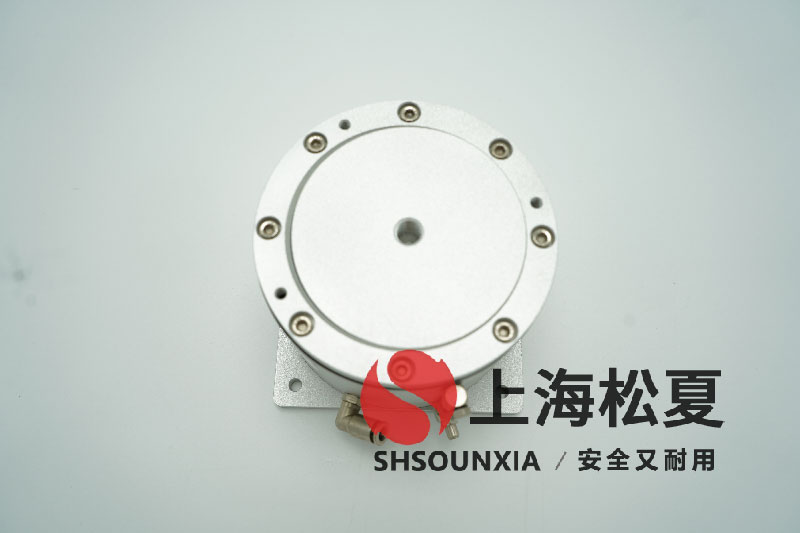 半自动芯片拣选机安装SDS充气小黄鸭APP视频网站的专业探讨